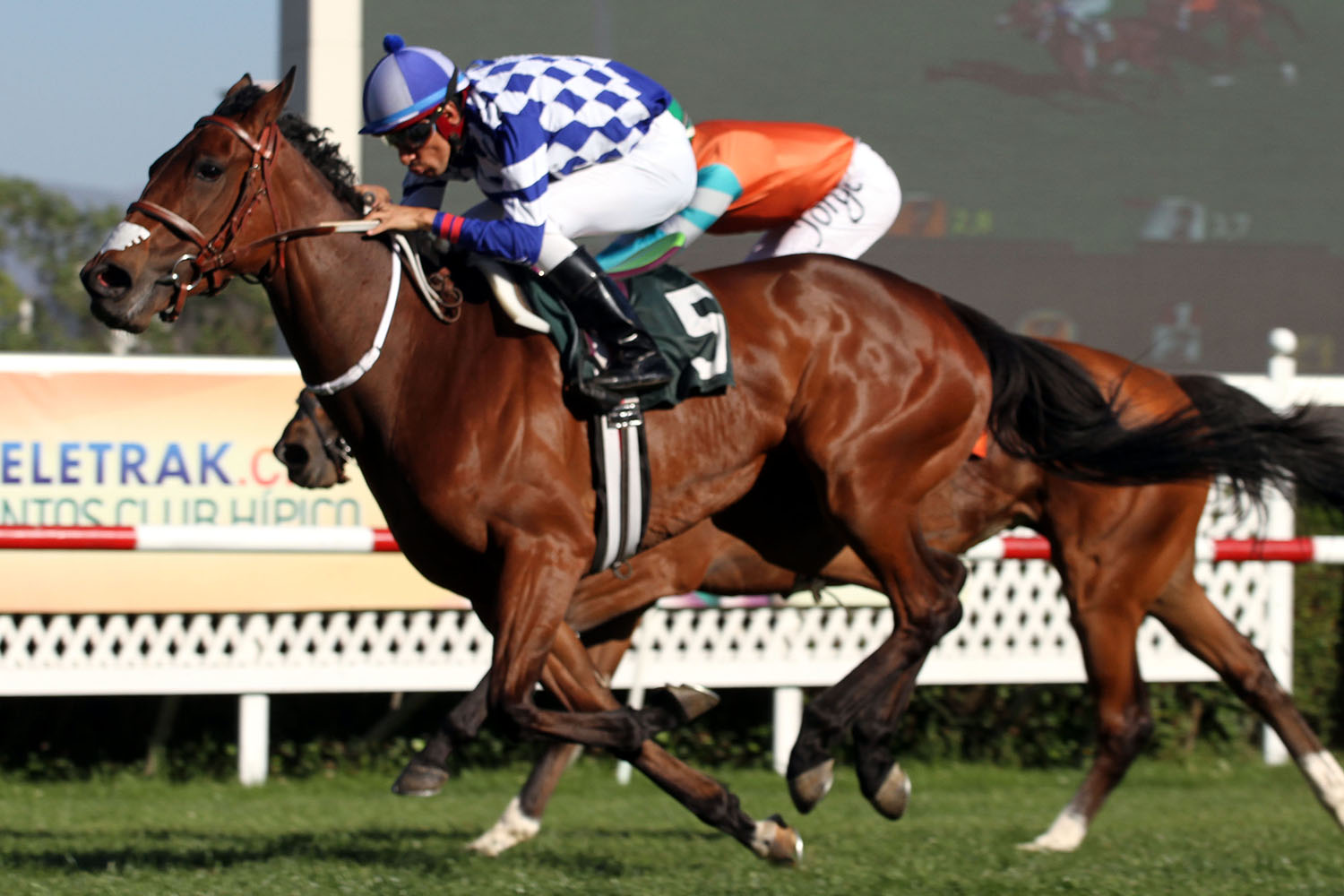 Moquetinha (Dylan Thomas) conquista el Clásico Diario La Cuarta (1800m-Pasto-CHS). - Staff ElTurf.com