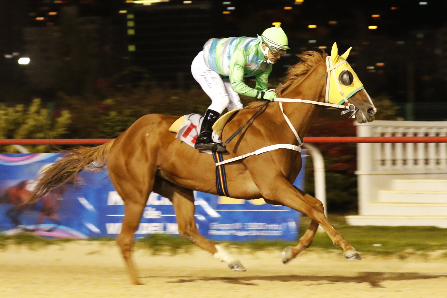 Tenienta (Stevie Wonderboy) se queda con la victoria en Handicap (1100m-Arena-VSC). - Staff ElTurf.com
