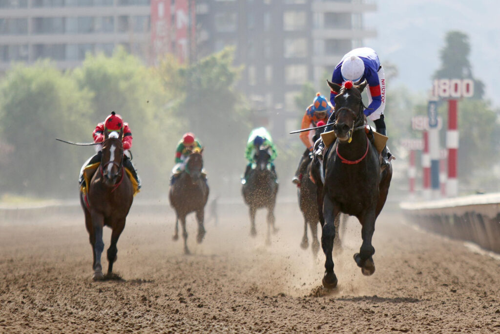 Sealtbelt se lució en uno de los estelares del sábado 22 de marzo.